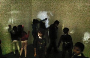 Lux reflexa la cebada10